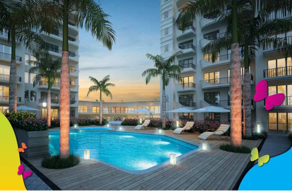  tangerine Swimming Pool