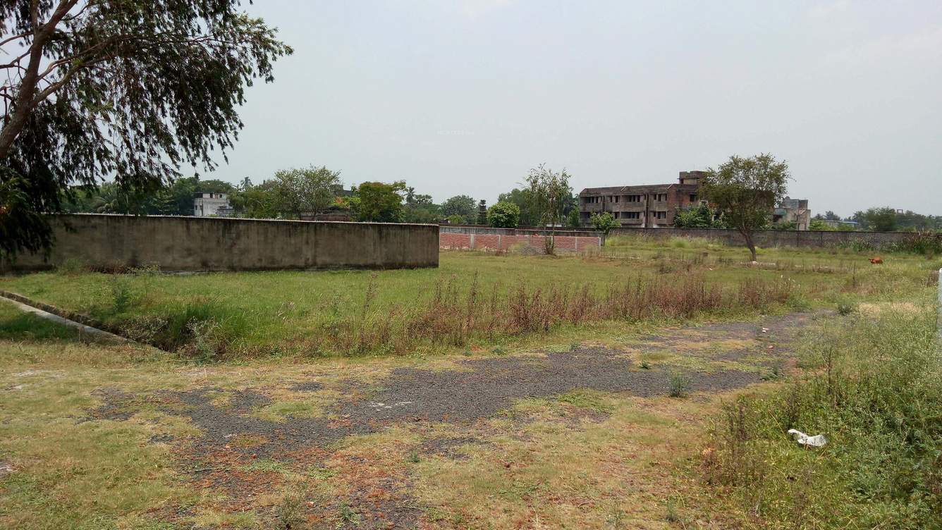  ambica Plot