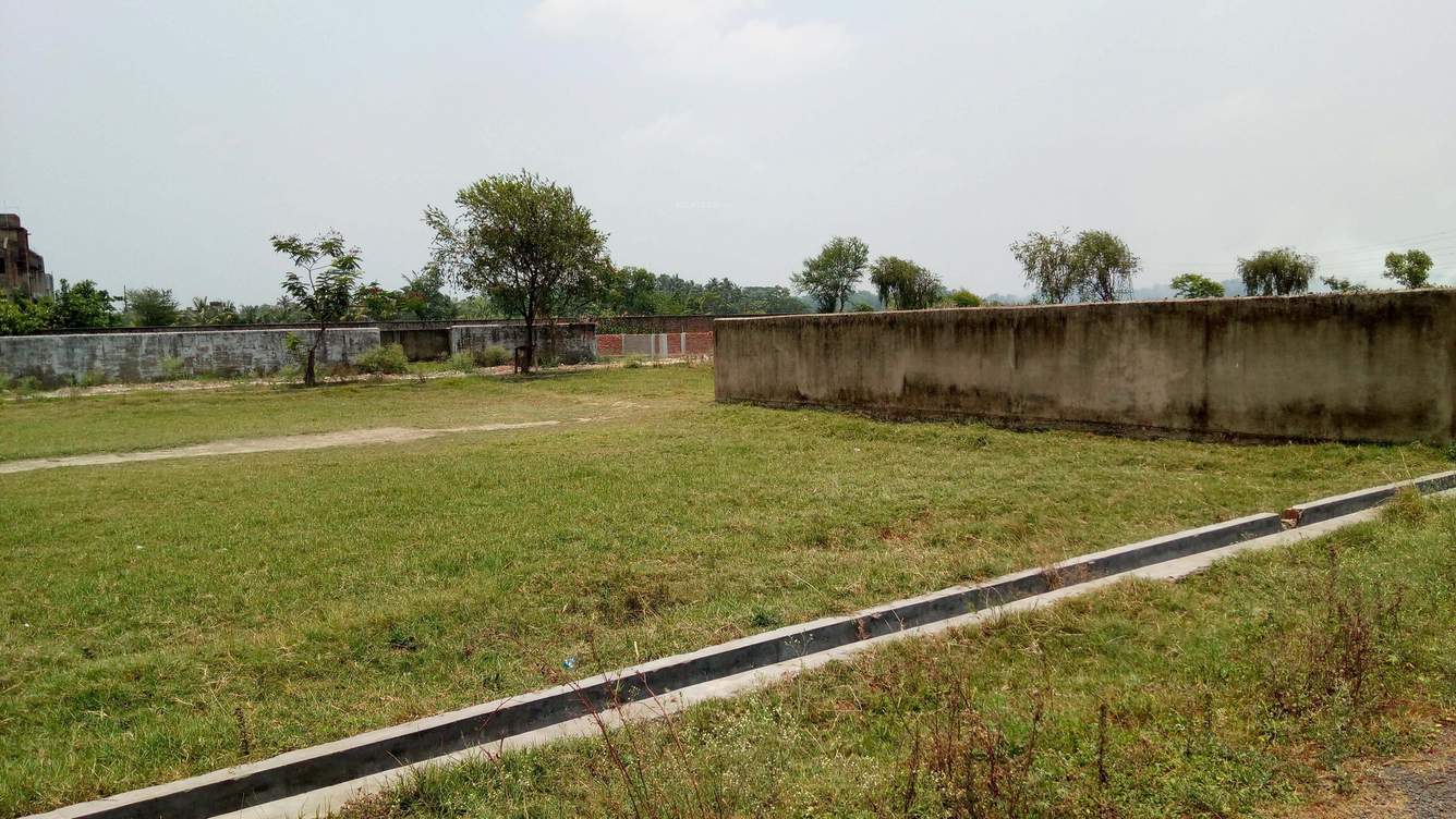  ambica Plot