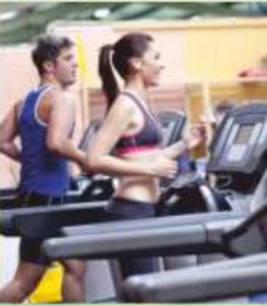  paradise-palms Gymnasium