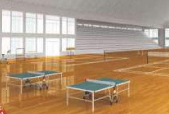  devi homes Indoor Games