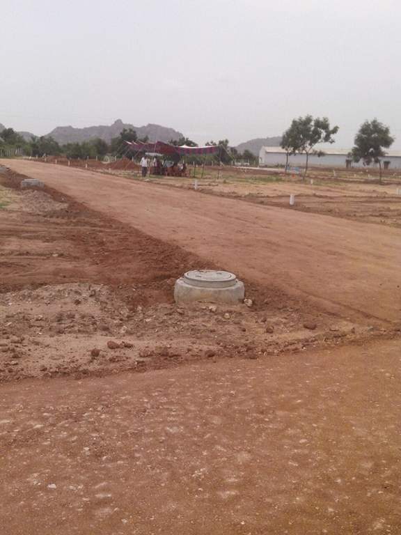  hill county Plot