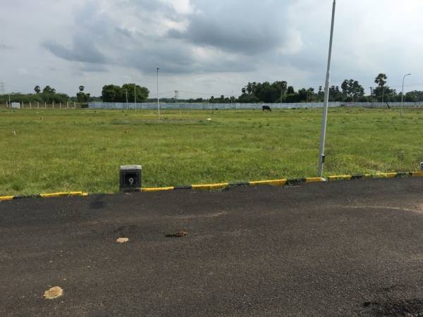  crystal-paradise Plot