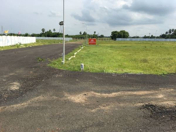  crystal-paradise Plot