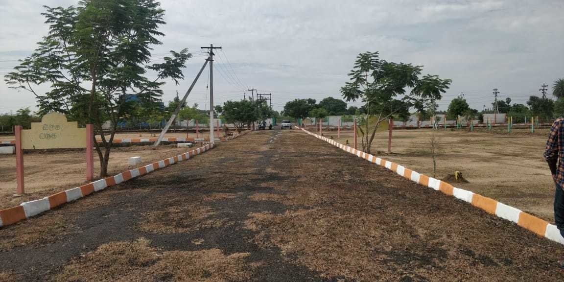  green city Internal Roads