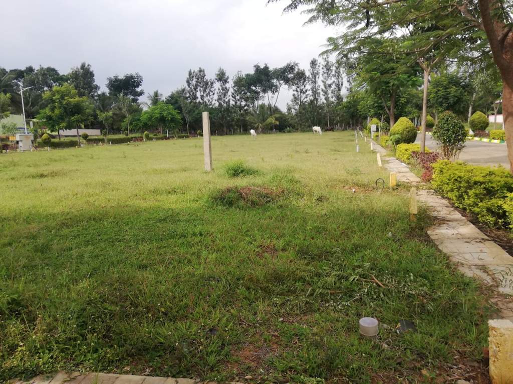  platinum city Plot