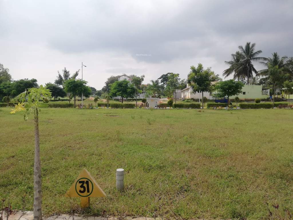  platinum city Plot