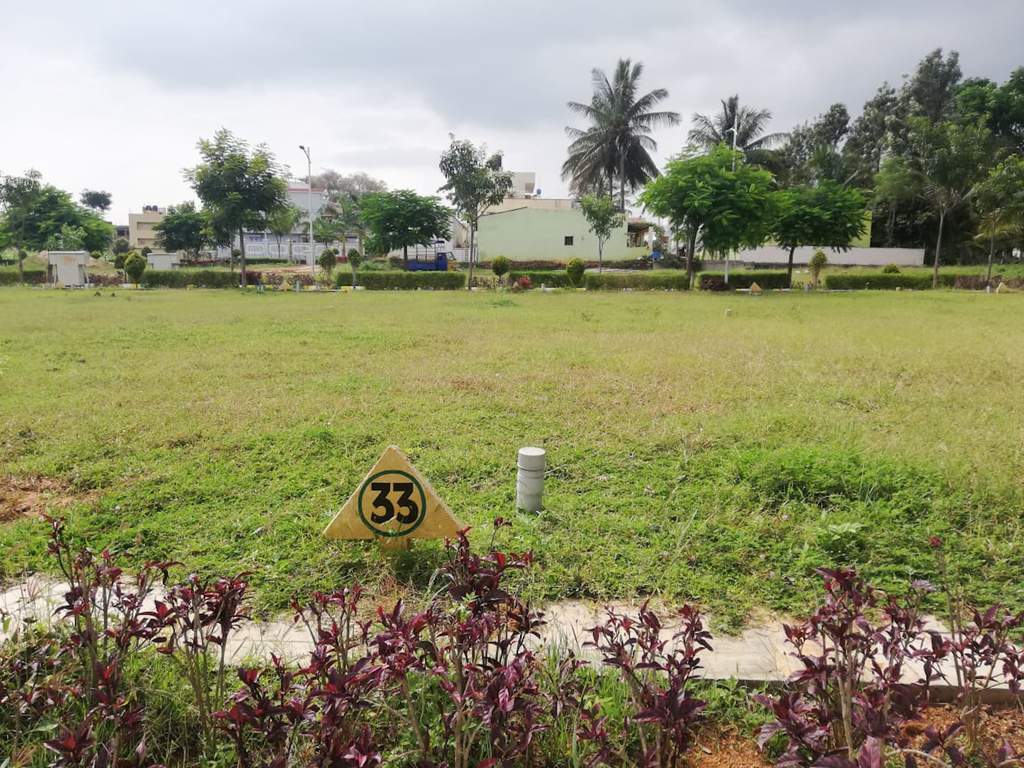  platinum city Plot