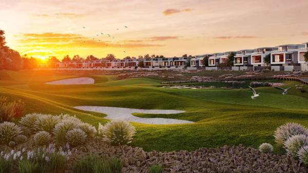  luxury Landscaping & Tree Planting