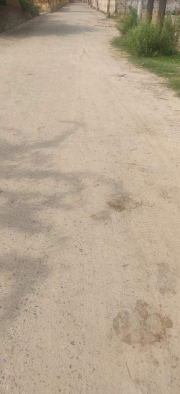 ratan vihar plots Plot