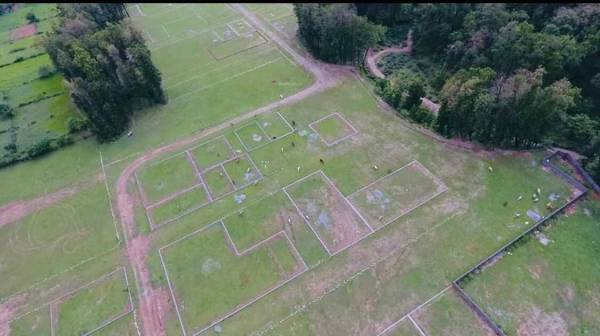 Elevation defence-colony-evergreen-city Elevation