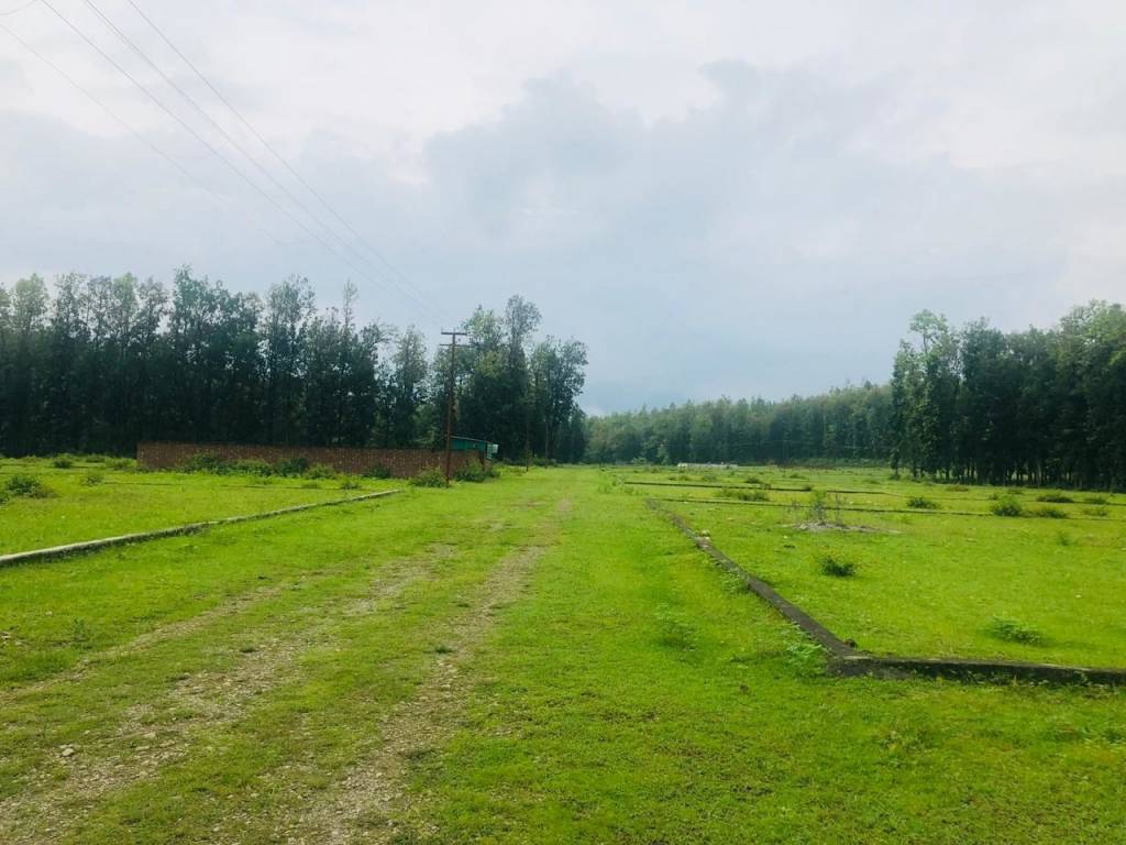 defence colony evergreen city Plot