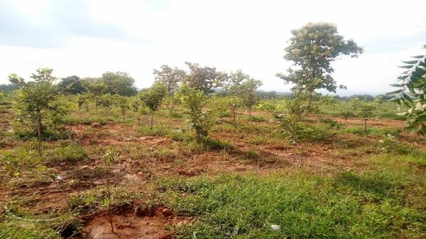  sivani-gardens Elevation