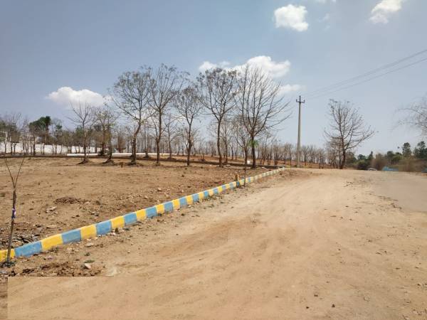  pearl-city Elevation