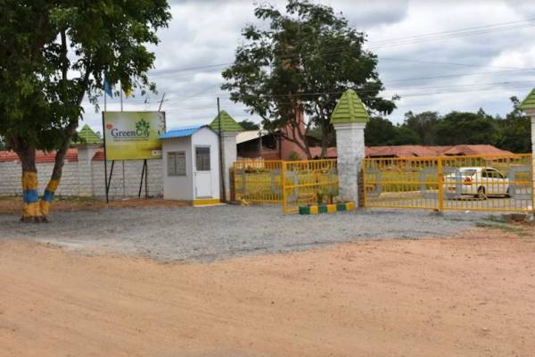  green-city Elevation