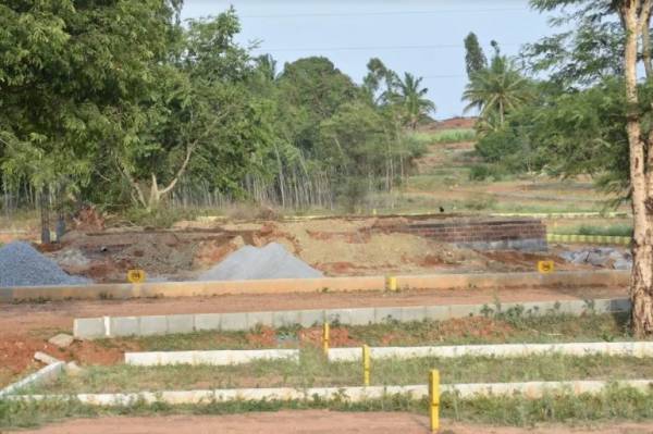  green-city Elevation