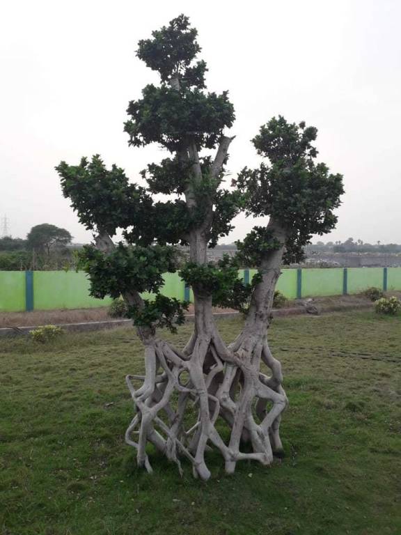  shree city Elevation