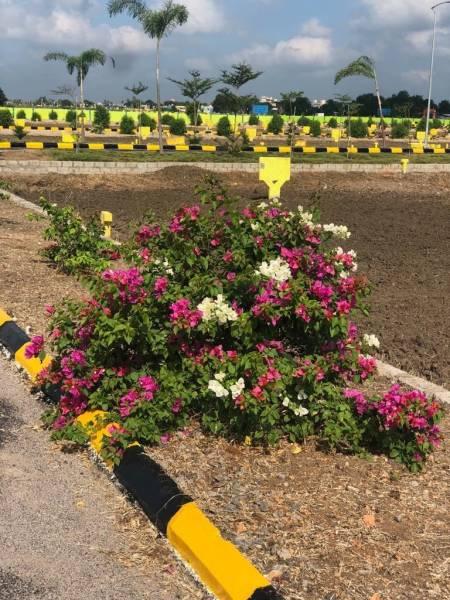 Elevation shree-city Elevation