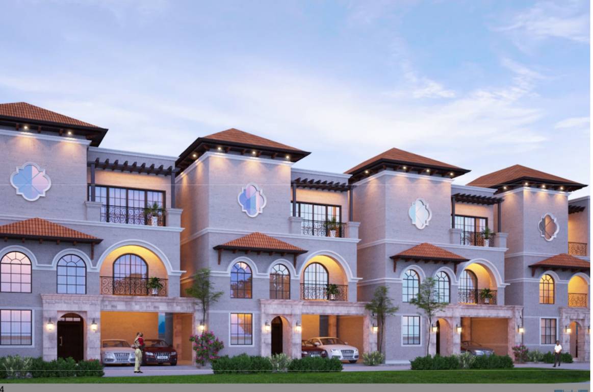  spring gardenia Elevation