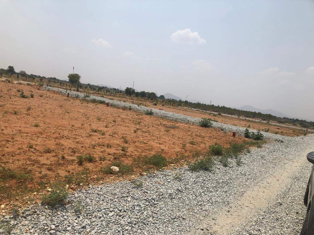  padmavathi gardens Plot