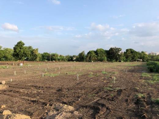 plots Elevation Elevation