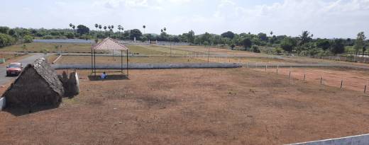 adp-dream-city Elevation Elevation