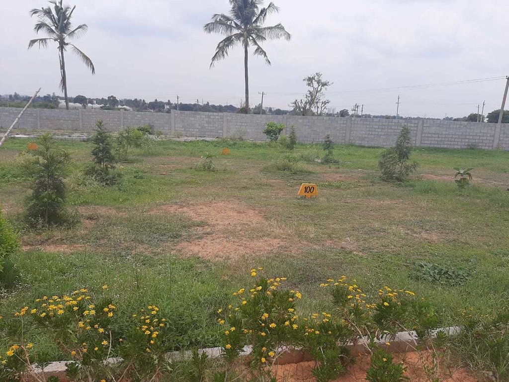  old bangalore Plot