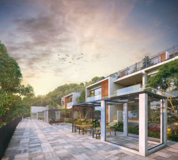  cloudberry-villaments Others