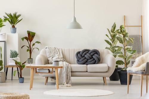 Living Area chambur-village Living Area