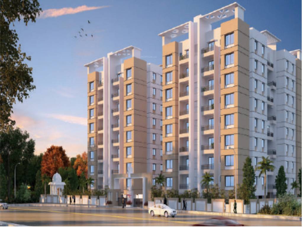  bellissimo viu Elevation