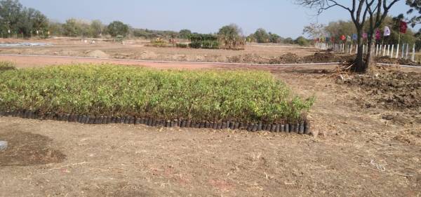  royal-farm Elevation