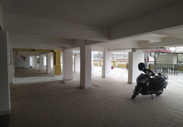 Car Parking tulip Car Parking