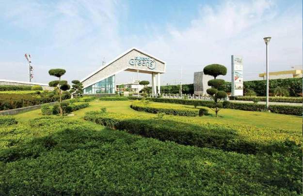  nora Landscape Garden and Tree Planting