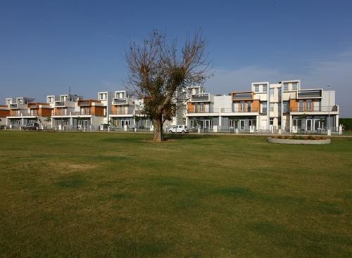 Landscape Garden and Tree Planting nora Landscape Garden and Tree Planting