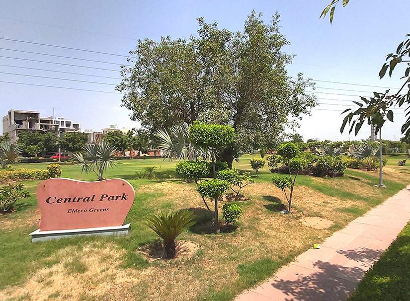  nora Landscape Garden and Tree Planting