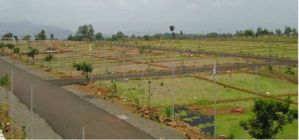  prospera-palms-pearl Elevation