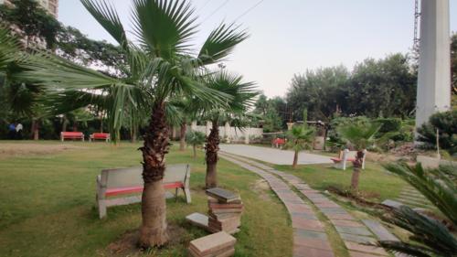  greens-phase-2 Landscape Garden and Tree Planting