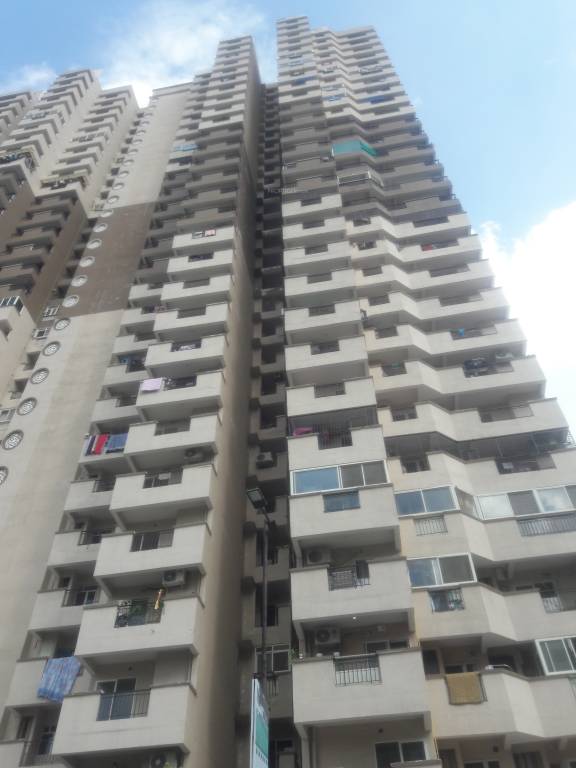  golf links phase 2 Elevation