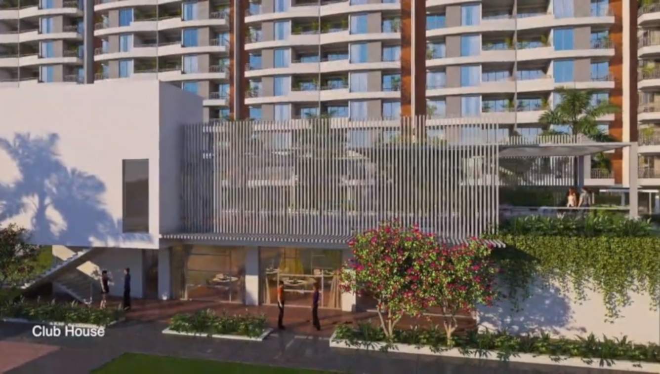  montana phase 6 Club House