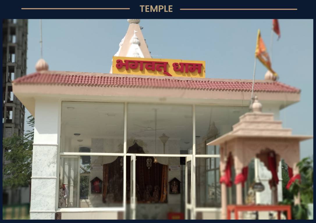  plotting royal court Temple