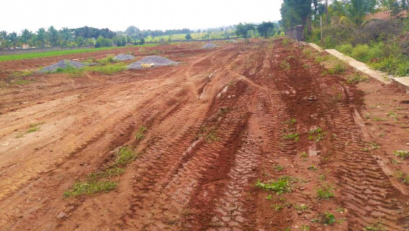  the imperial address phase i Plot