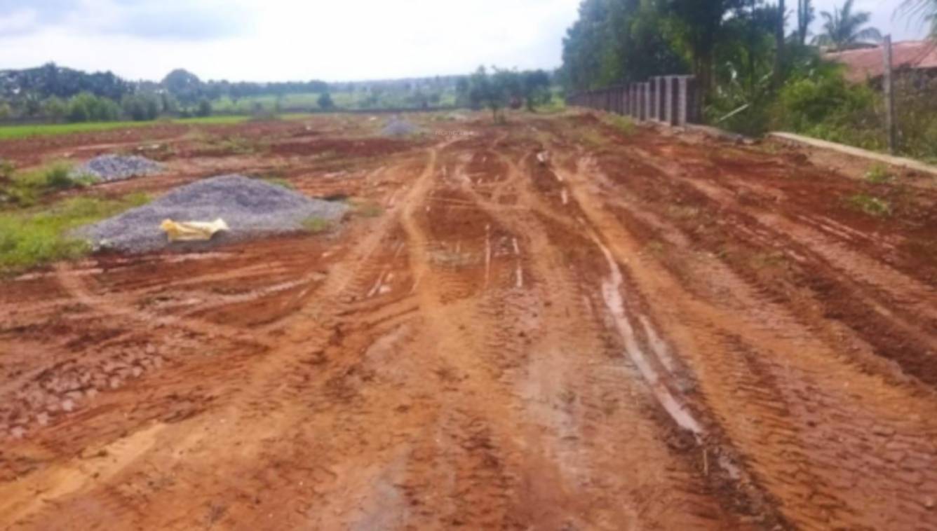  the imperial address phase i Plot