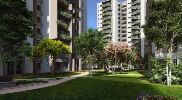  sanctuary Landscaping & Tree Planting