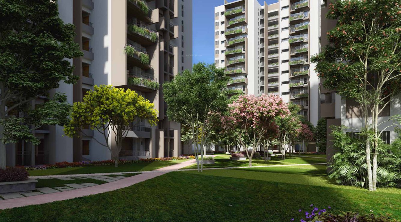  sanctuary Landscaping & Tree Planting