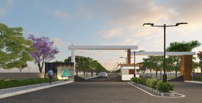  metro-apex Elevation