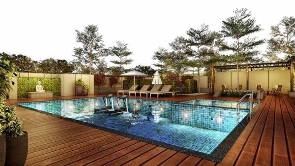 Swimming Pool cosmos Swimming Pool