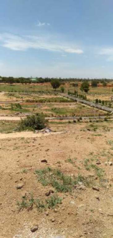  imperial city Plot