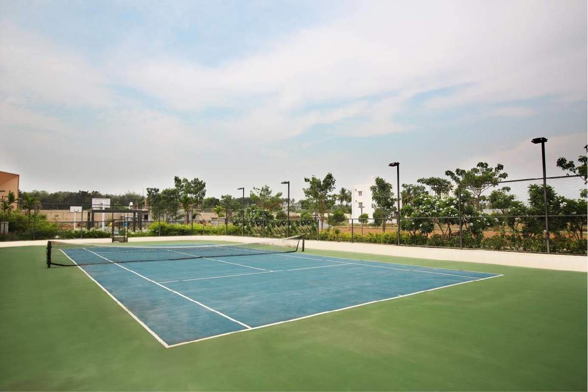  greendales Basketball Court