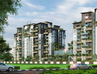  golden-springs Elevation