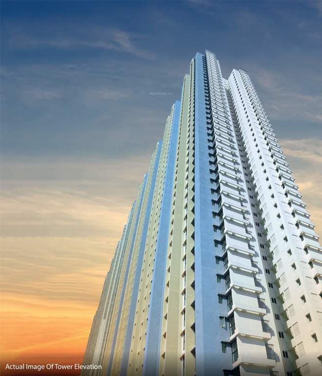  raymond realty ten x habitat Elevation